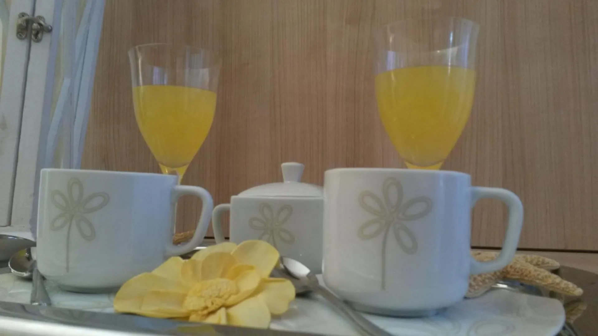 **  Hotel Camelia Rimini Italy